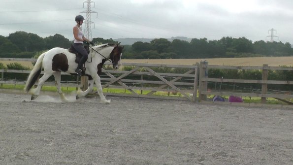 08-03-2015_090706(11)