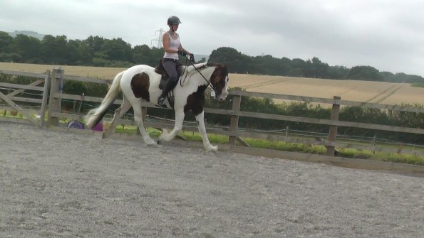 08-03-2015_090706(12)