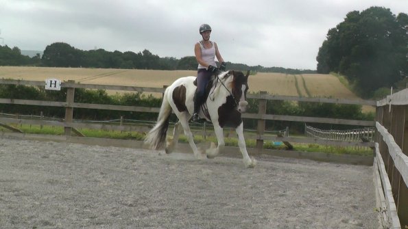 08-03-2015_090706(13)