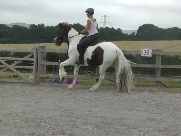 08-03-2015_090706(6)