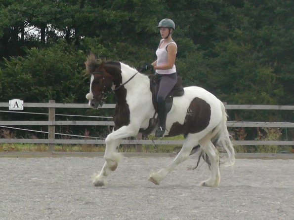 08-03-2015_090706(7)