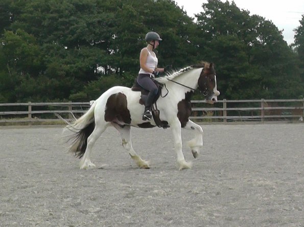 08-03-2015_090706(9)