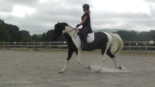 08-03-2015_091537(1)