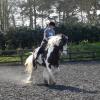 Working canter (12)