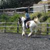 Working canter (5)