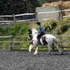 Working canter (6)