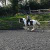 Working canter (7)