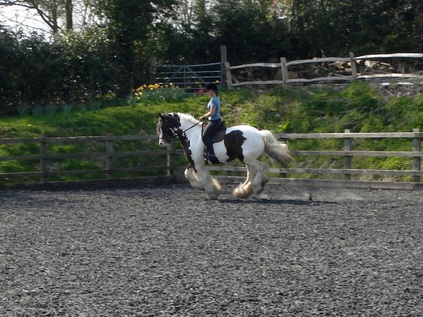 Working canter (7)