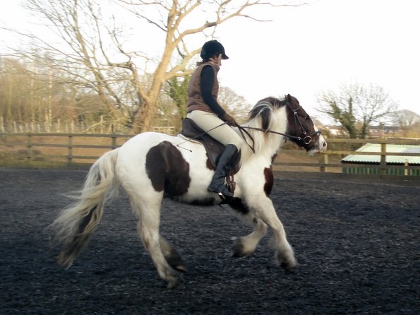 Lance and Anna canter (2)