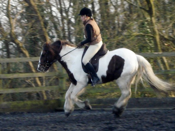 Lance and Anna canter (4)