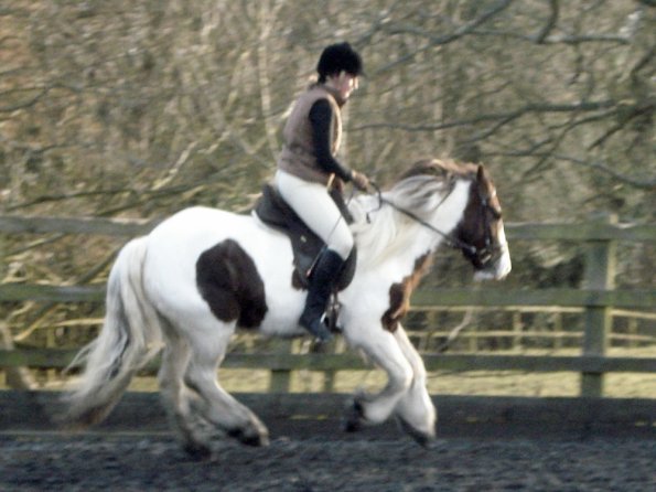 Lance and Anna canter (5)