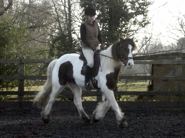 Lancelot and Anna schooling (10)