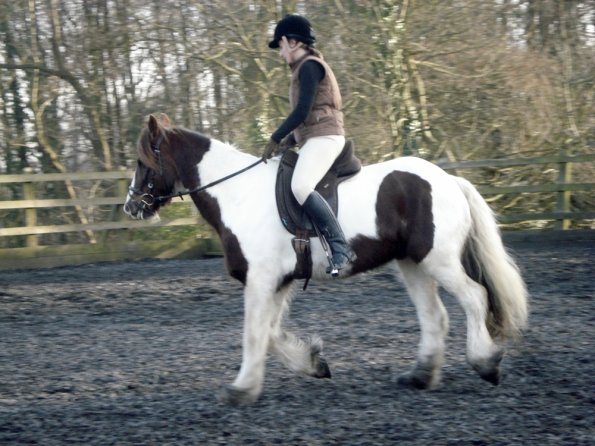 Lancelot and Anna schooling (11)
