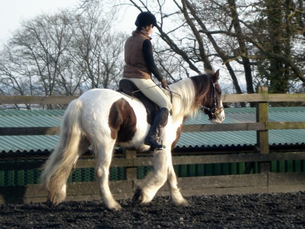 Lancelot and Anna schooling (12)