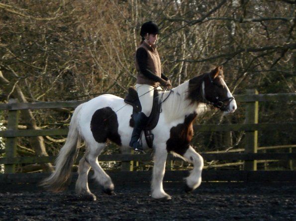 Lancelot and Anna schooling (13)