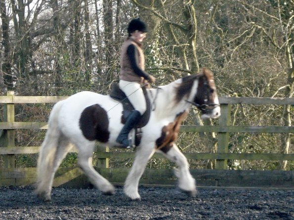 Lancelot and Anna schooling (16)