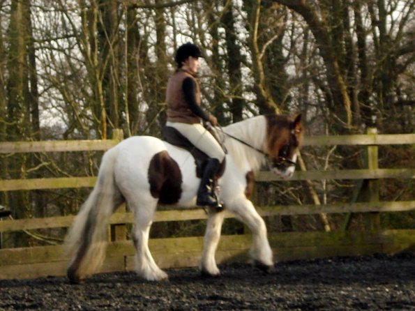 Lancelot and Anna schooling (17)