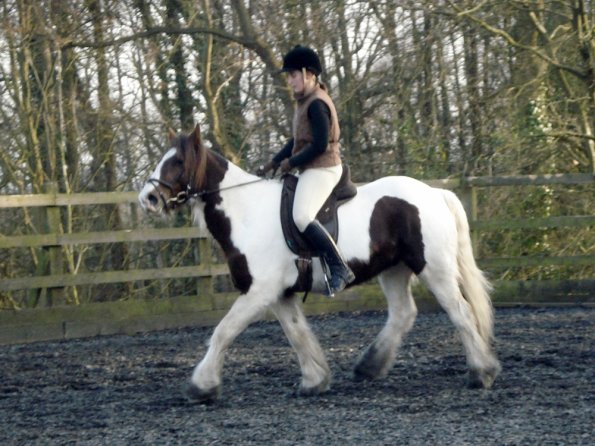 Lancelot and Anna schooling (3)