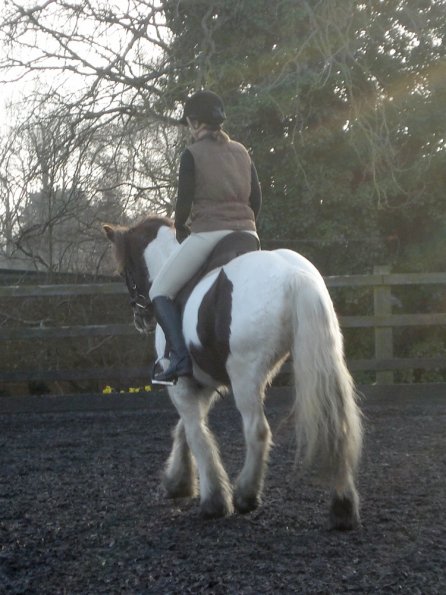 Lancelot and Anna schooling (5)