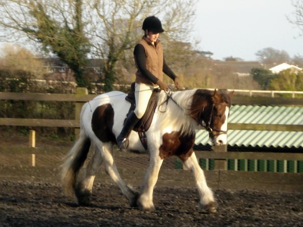 Lancelot and Anna schooling (9)