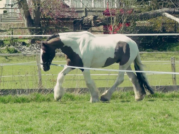 04-15-2015_121151(2)