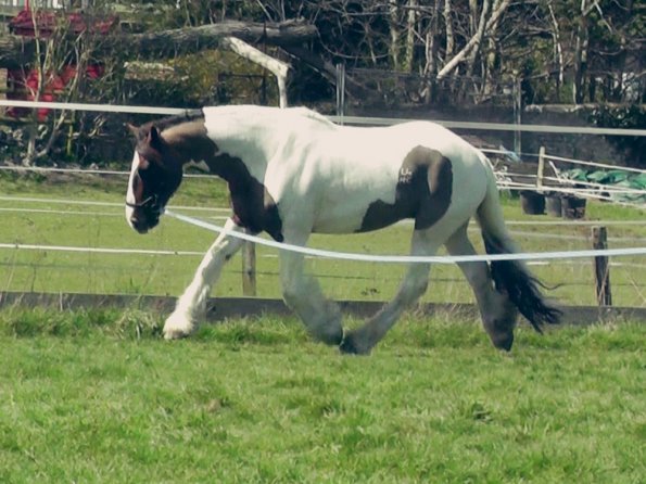 04-15-2015_121151(3)