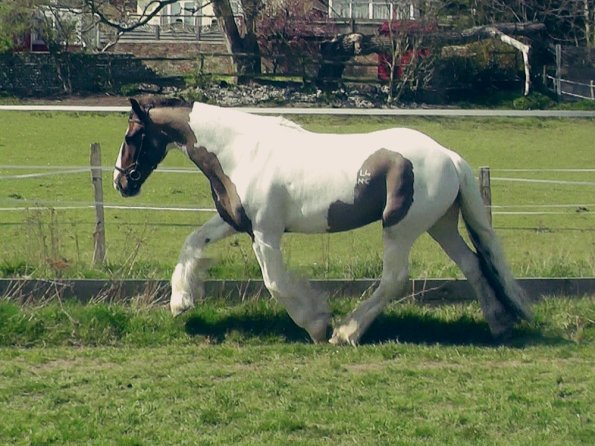 04-15-2015_121658(1)