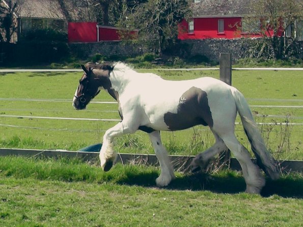 04-15-2015_121658(2)