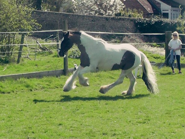 04-15-2015_121658(3)