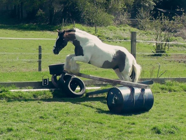 04-15-2015_121658(4)