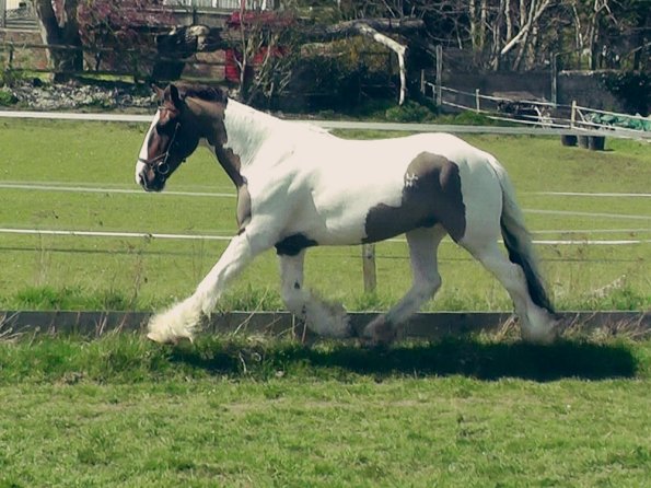 04-15-2015_121820(1)