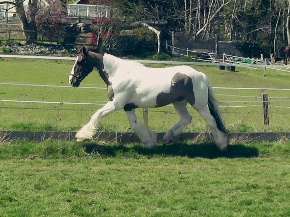 04-15-2015_121820(2)