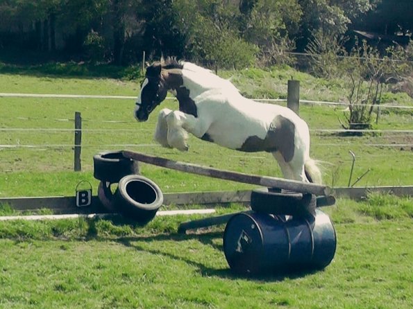 04-15-2015_121820(3)