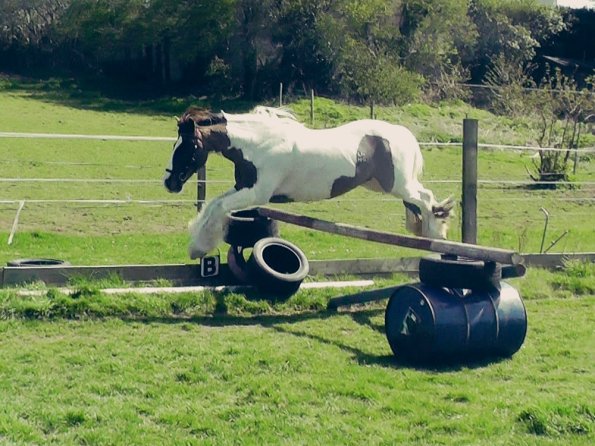 04-15-2015_121820(4)