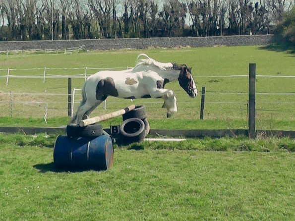 04-15-2015_121905(1)