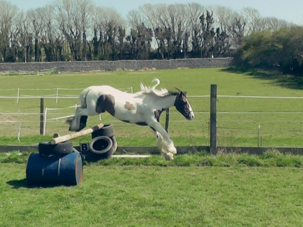 04-15-2015_121905(2)