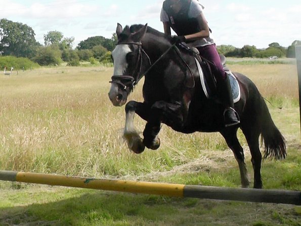 07-16-2016_083613(1)