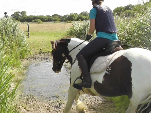 07-16-2016_085129(1)