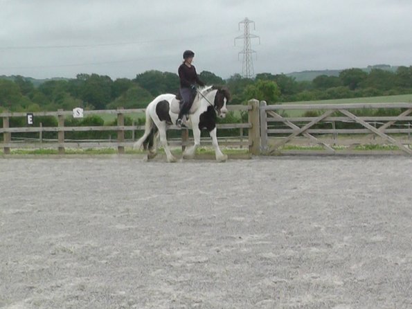 06-15-2015_090417(2)