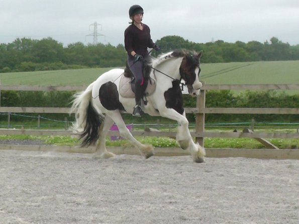 06-15-2015_091243(2)