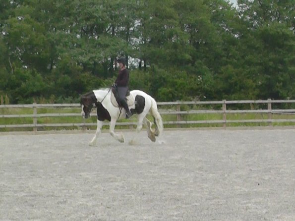 06-15-2015_091243(3)