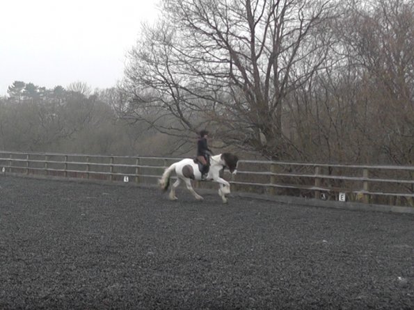 Dressage 11 Feb Canter