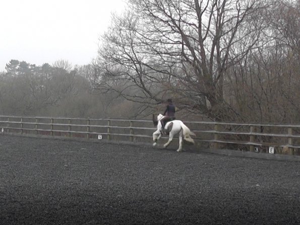 Dressage 11 Feb Medium canter