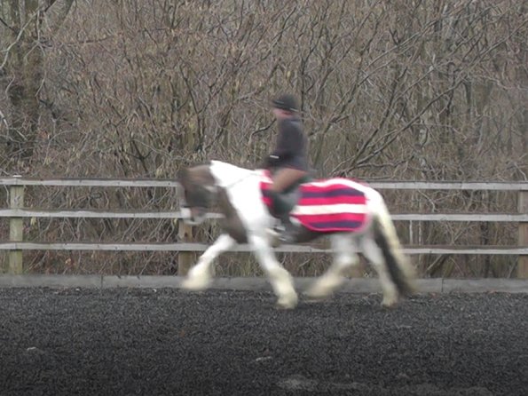 Dressage 11 Feb medium