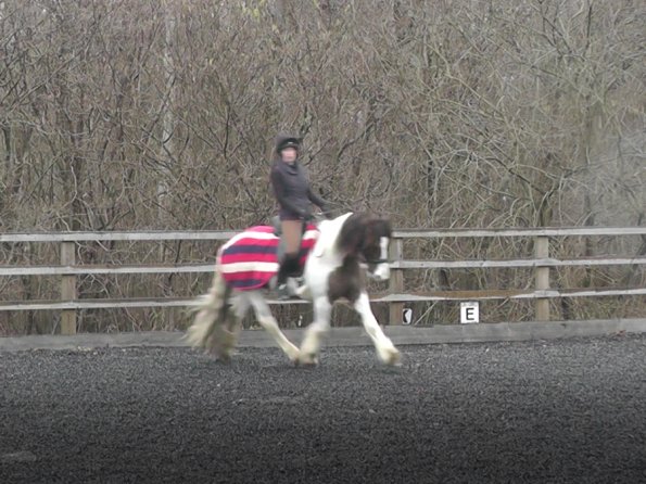 Dressage 11 Feb