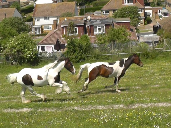 Lance and Ghost race (1)