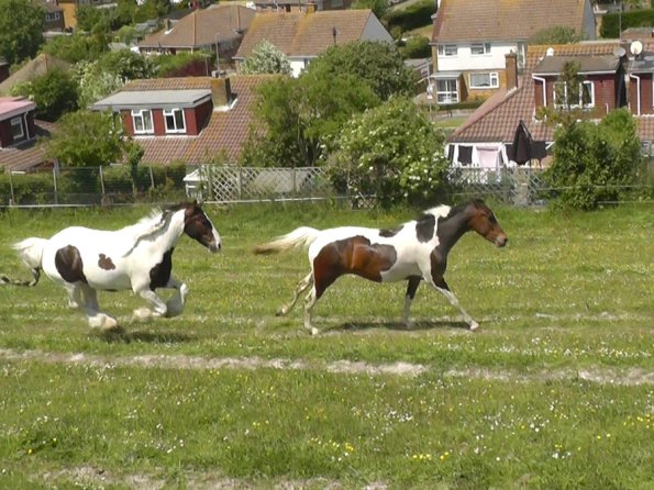 Lance and Ghost race (10)