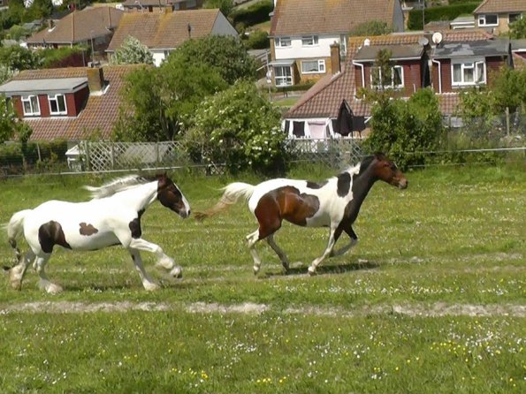 Lance and Ghost race (11)