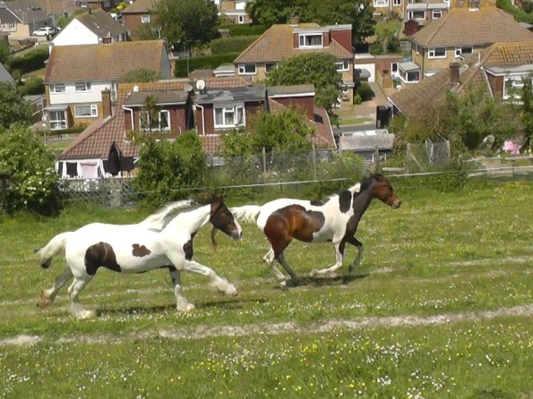 Lance and Ghost race (2)