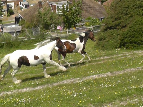 Lance and Ghost race (3)